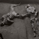 Imagen para el artículo titulado Descubren los restos de dos muertos en la erupción del Vesubio en Pompeya